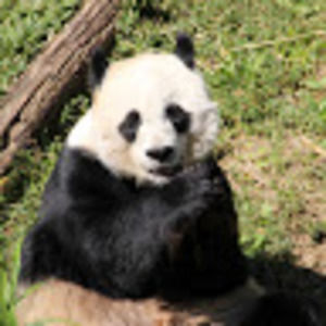 Meet your Posher, Kay